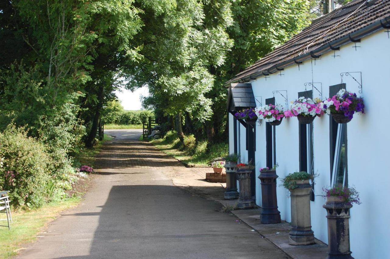 Moorclose Bed And Breakfast St Bees Exterior photo