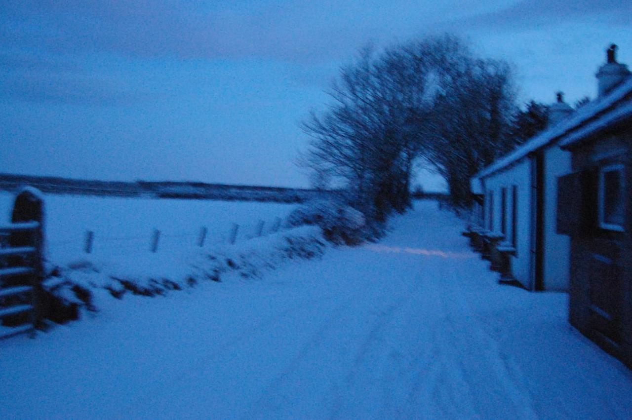 Moorclose Bed And Breakfast St Bees Exterior photo